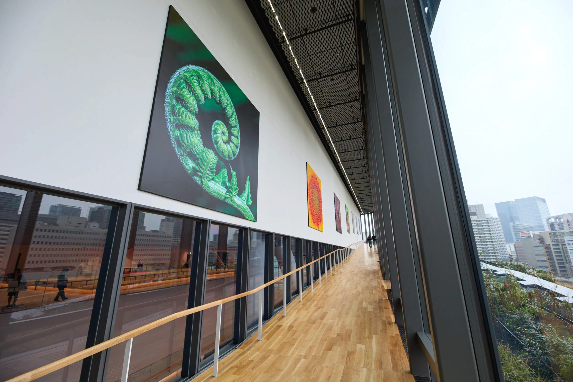 MoN Takanawa: The Museum of Narratives