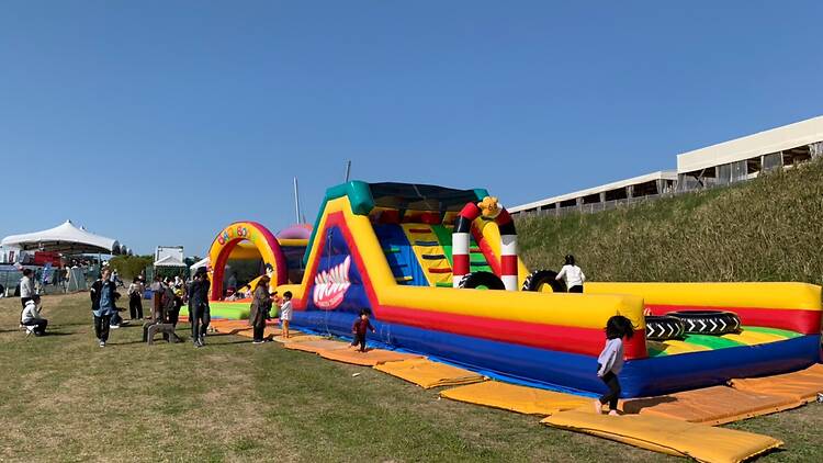 Nemophila Festival at Osaka Maishima Seaside Park