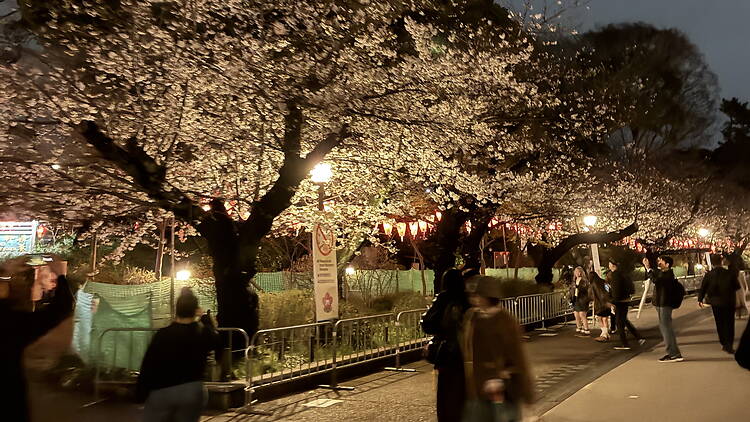 Ueno Park, Taito Ueno Park, Taito
