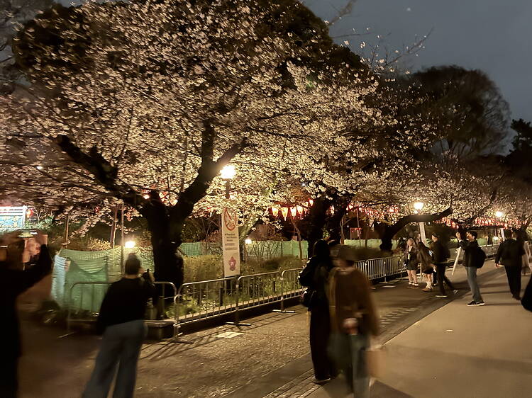 Ueno Park, Taito Ueno Park, Taito