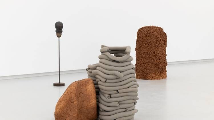 Anna Maria Maiolino – Terra Poética Anna Maria Maiolino – Terra Poética