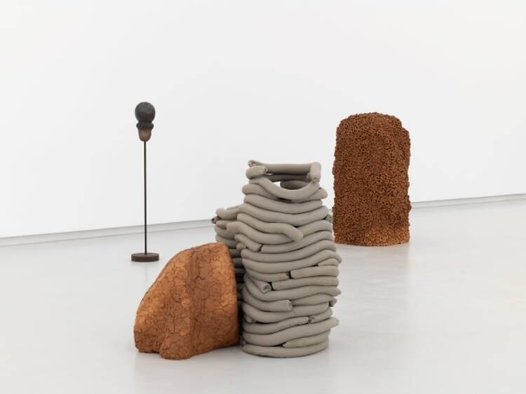 Anna Maria Maiolino – Terra Poética Anna Maria Maiolino – Terra Poética