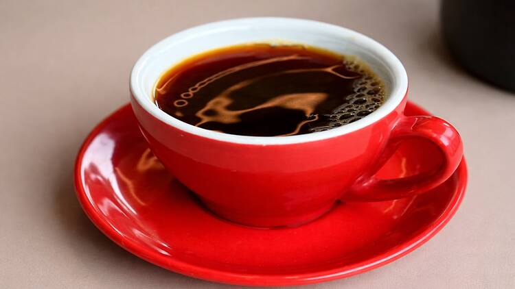 Barista Day at Negro Café