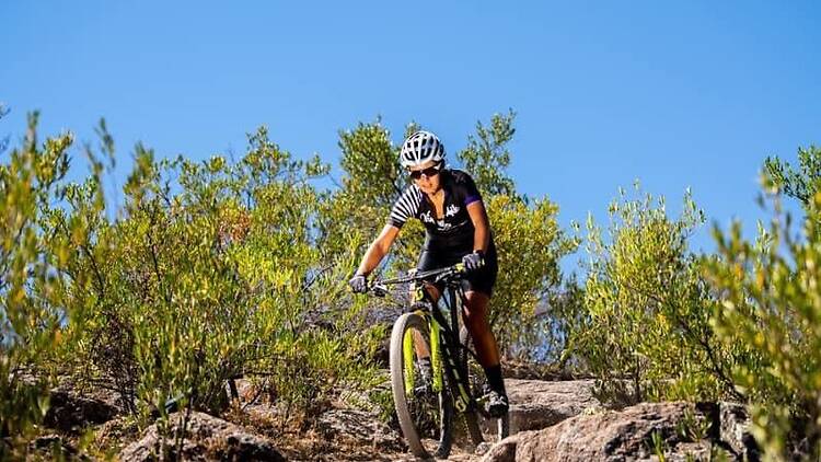 El plan perfecto existe: bici, vino y paisajes mendocinos