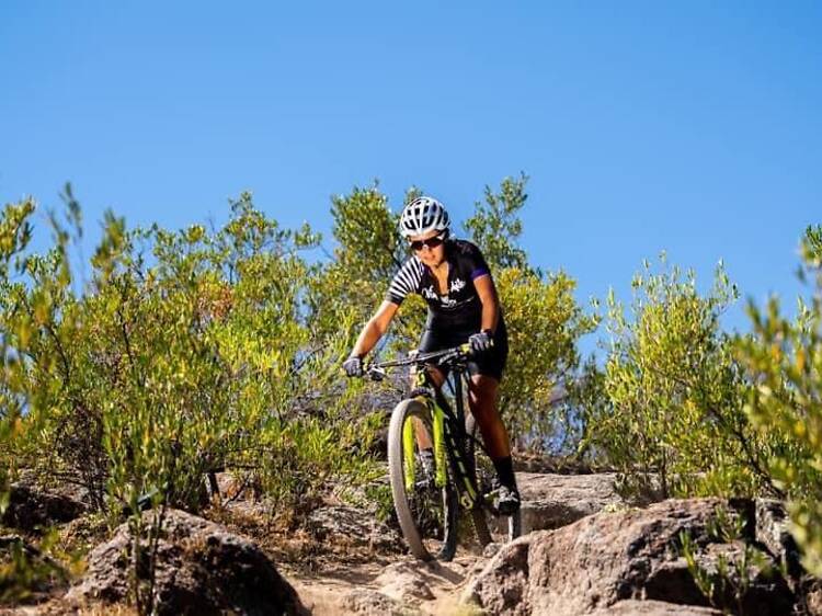 El plan perfecto existe: bici, vino y paisajes mendocinos