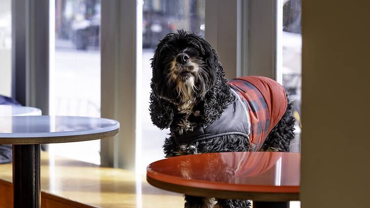 Boris & Horton | New York City