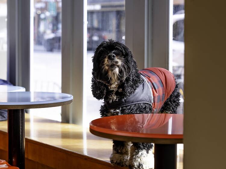 Boris & Horton | New York City