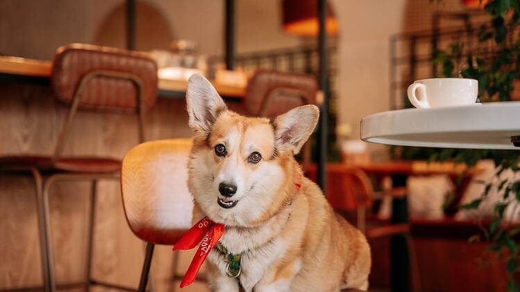 Jackson Hall American Bar & Grille | East Islip