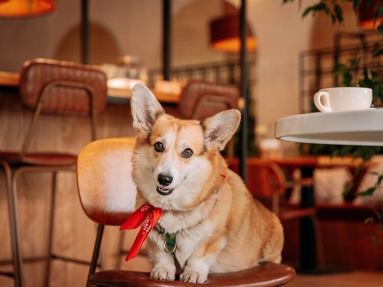 Jackson Hall American Bar & Grille | East Islip