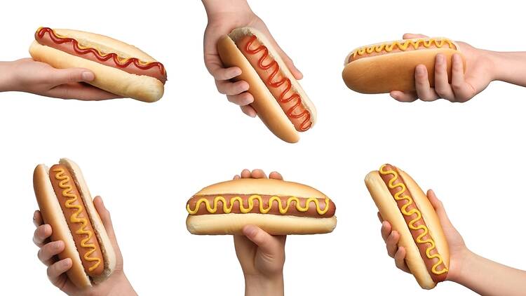 The Dog Den | White Plains