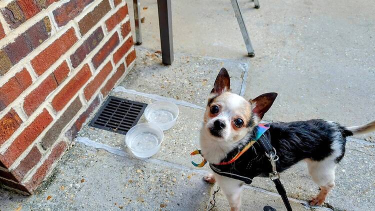 Nine Pin Cider Works | Albany