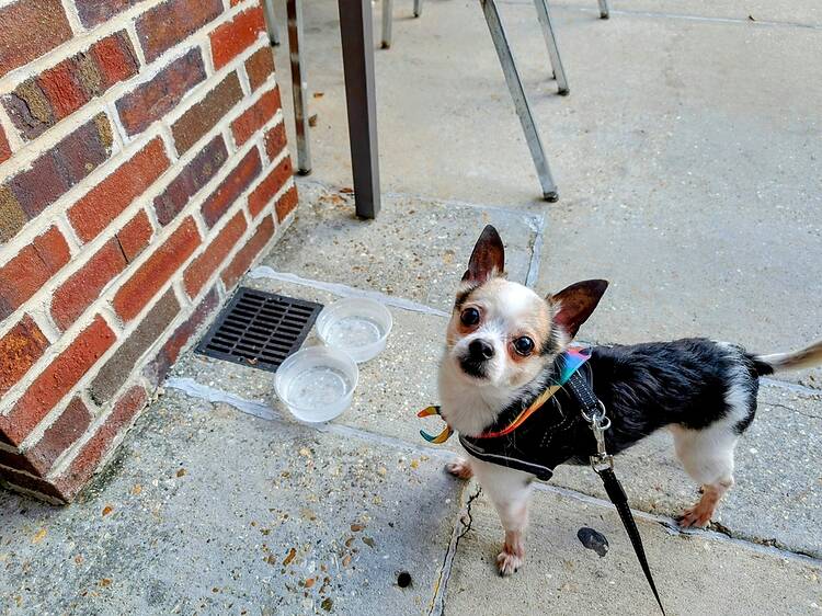 Nine Pin Cider Works | Albany