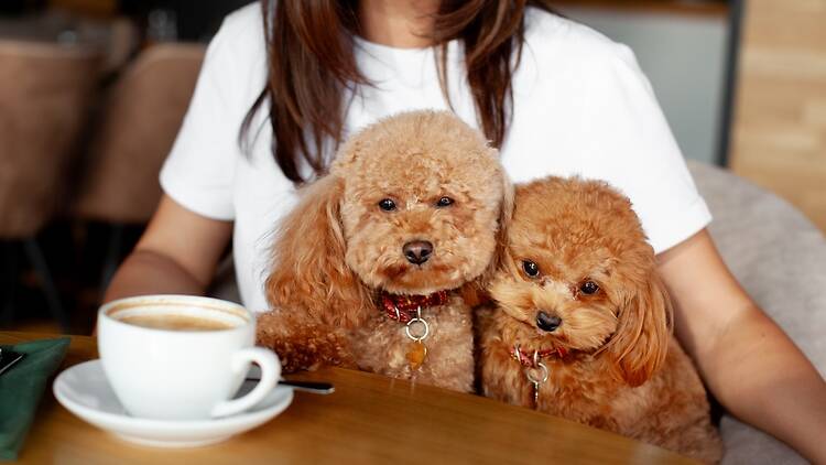 The Cracked Bean Roastery | Syracuse