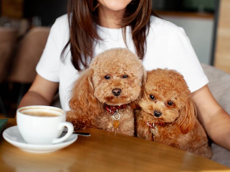 The Cracked Bean Roastery | Syracuse