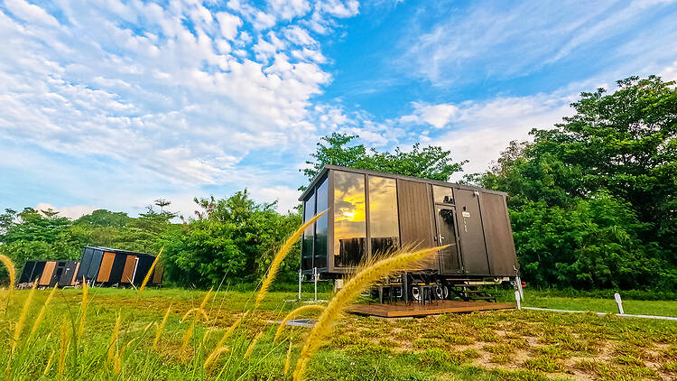 Tiny Away Escape Lazarus Tiny Away Escape Lazarus