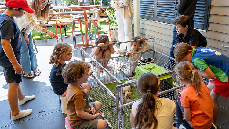 Auburn Hotel Auburn Hotel