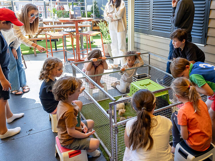 Auburn Hotel Auburn Hotel