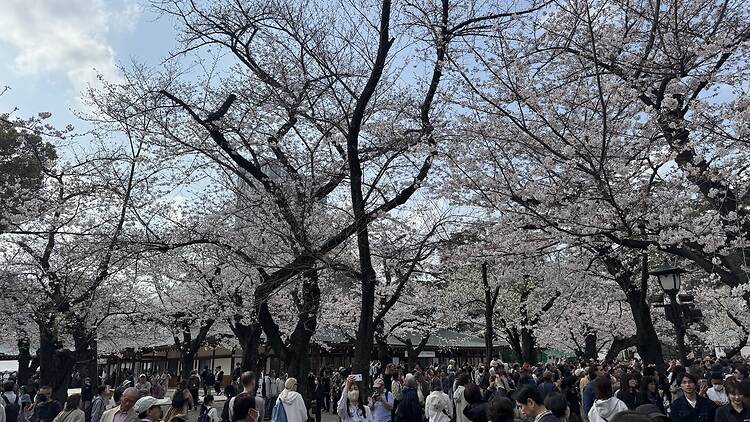 Yasukuni Shrine, Kudanshita Yasukuni Shrine, Kudanshita