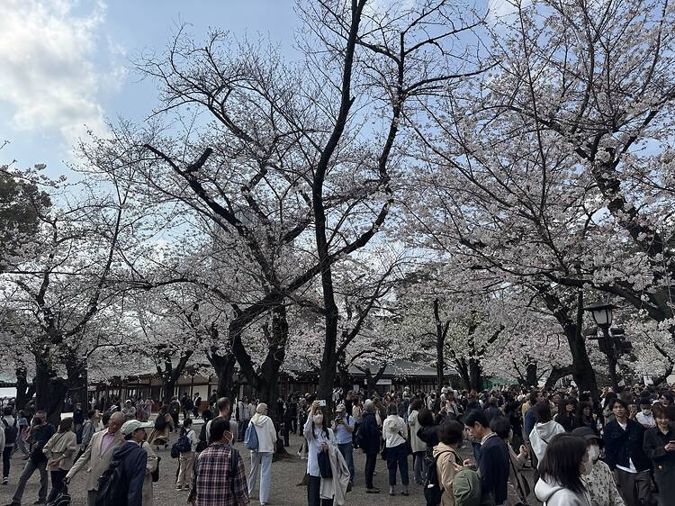 Yasukuni Shrine, Kudanshita Yasukuni Shrine, Kudanshita