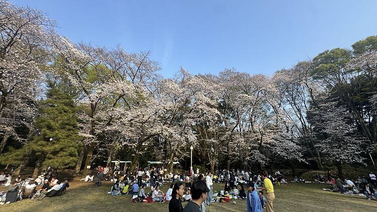Komaba Park, Meguro Komaba Park, Meguro