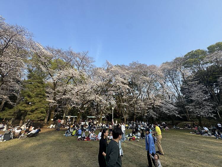 Komaba Park, Meguro Komaba Park, Meguro