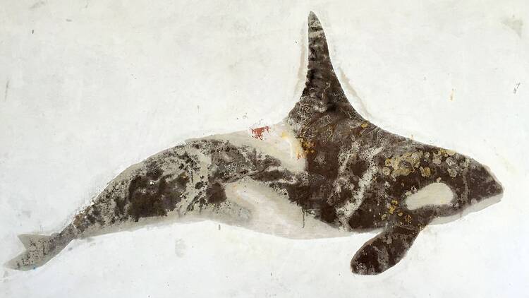 Moby Dick. The Dream of Captain Ahab