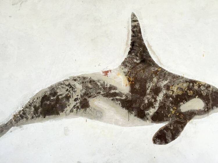 Moby Dick. The Dream of Captain Ahab