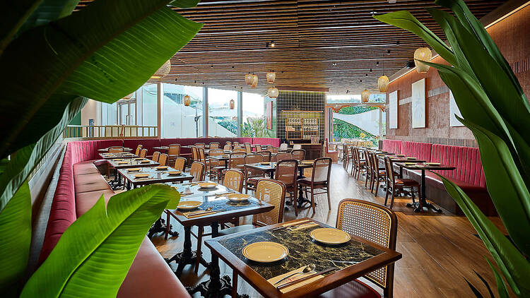 Chao Thai Singa Viet