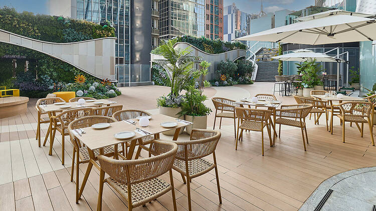 Chao Thai Singa Viet