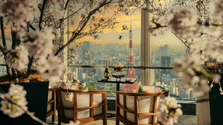 Andaz Tokyo Yozakura Premium View Plan