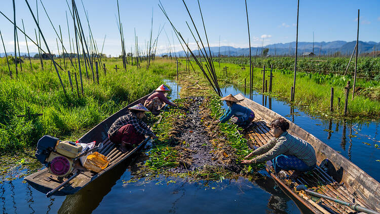 Myanmar earthquake - one year on 
