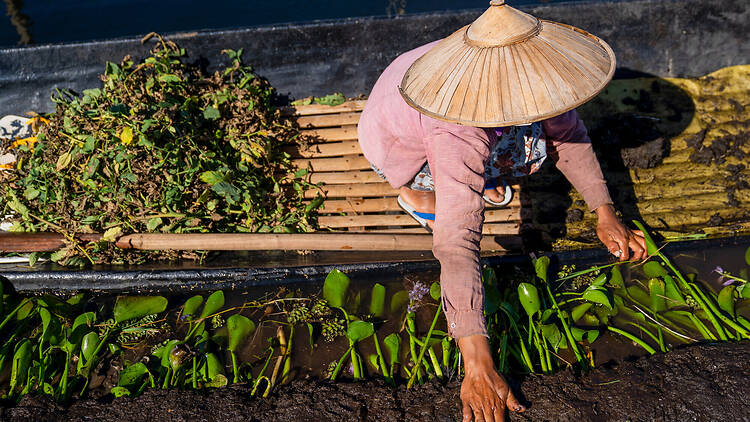 Myanmar earthquake - one year on 