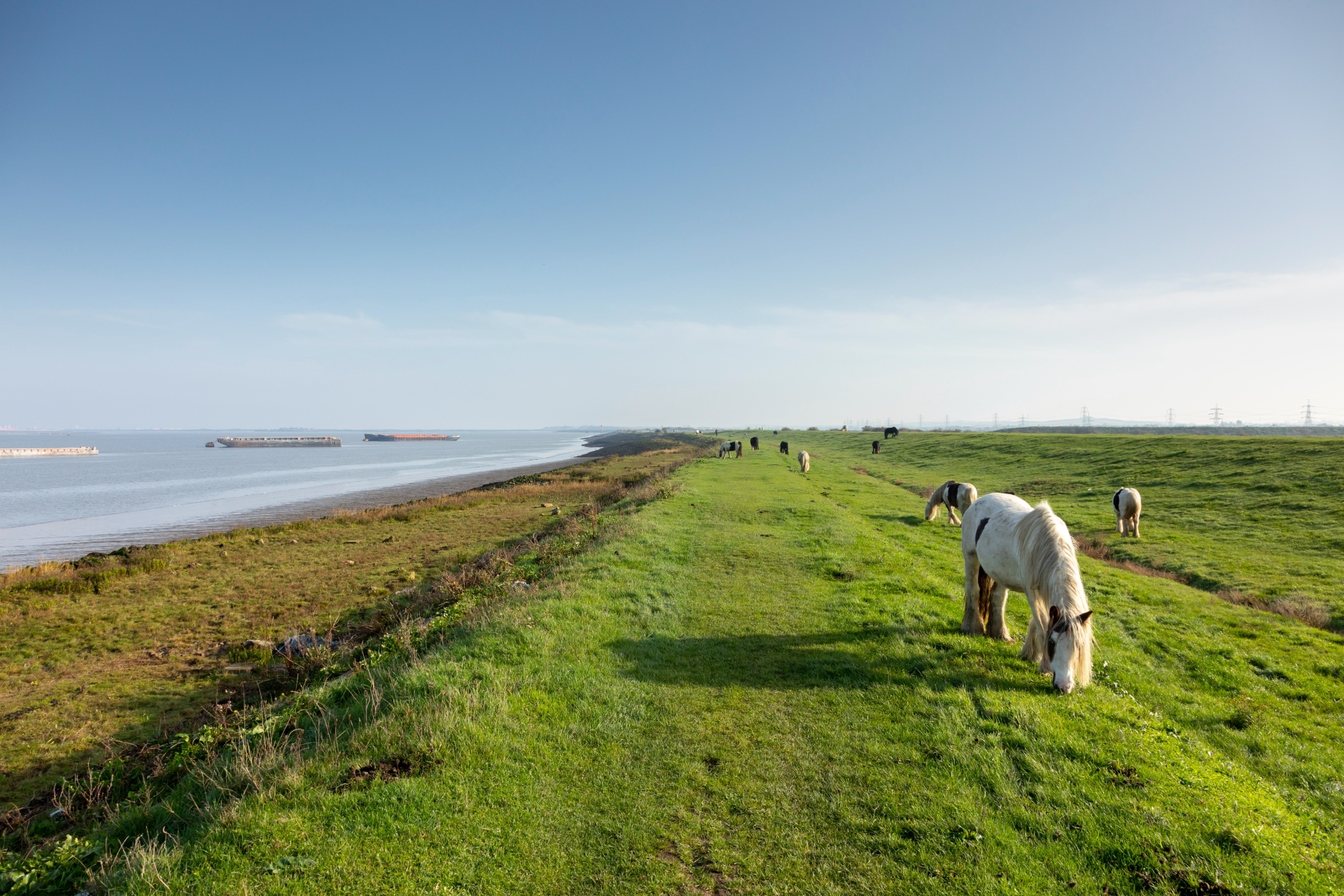 Did you know that you can walk the world's longest coastal path in London?