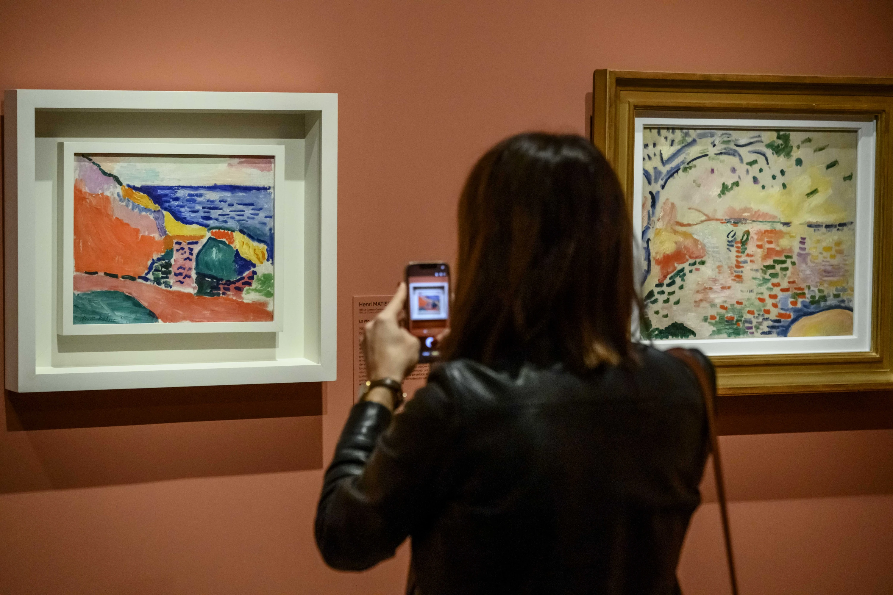 Chez Matisse. El llegat d&rsquo;una nova pintura