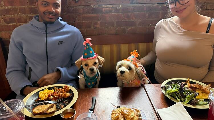 Château Le Woof | Astoria