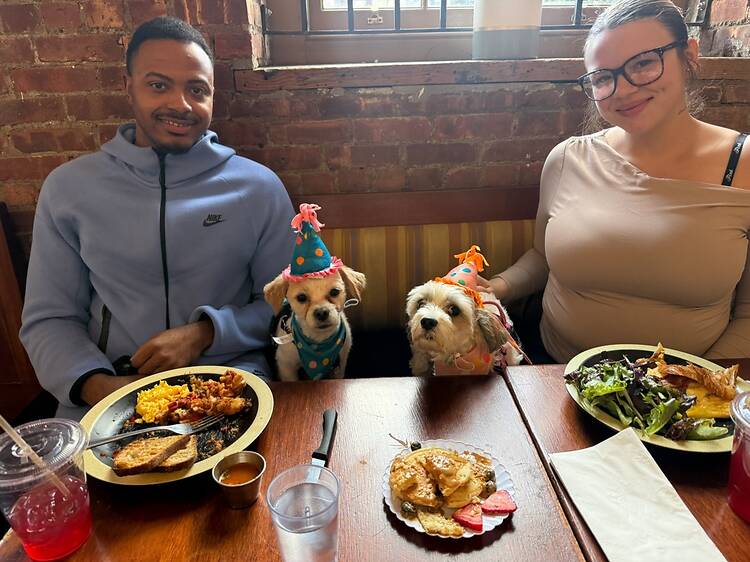 Château Le Woof | Astoria