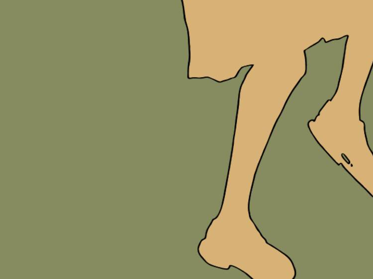 Lourdes Castro: existe luz na sombra Lourdes Castro: existe luz na sombra