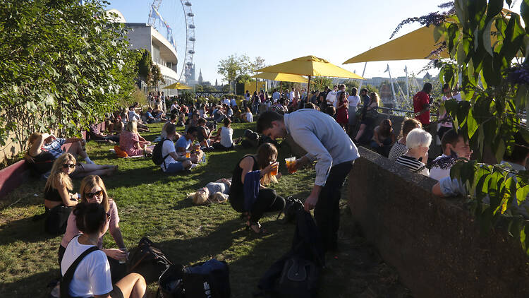 Queen Elizabeth Hall Roof Garden, London