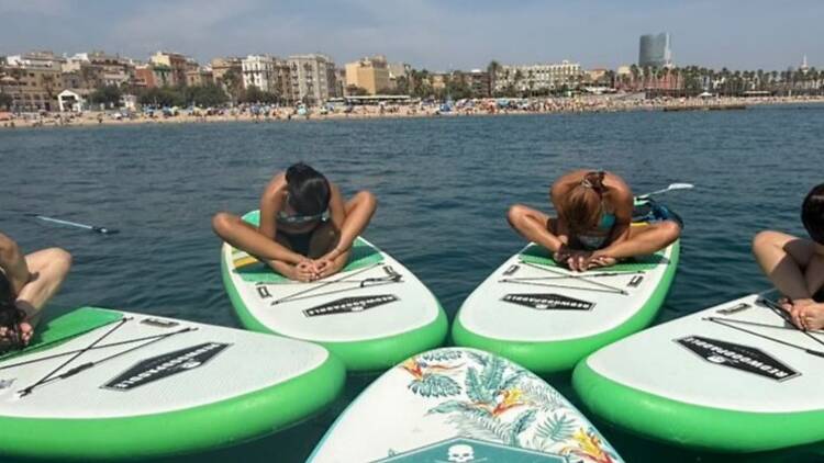 Activitat a la platja