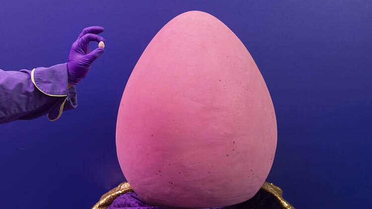 Cadbury World Mega Mini Egg