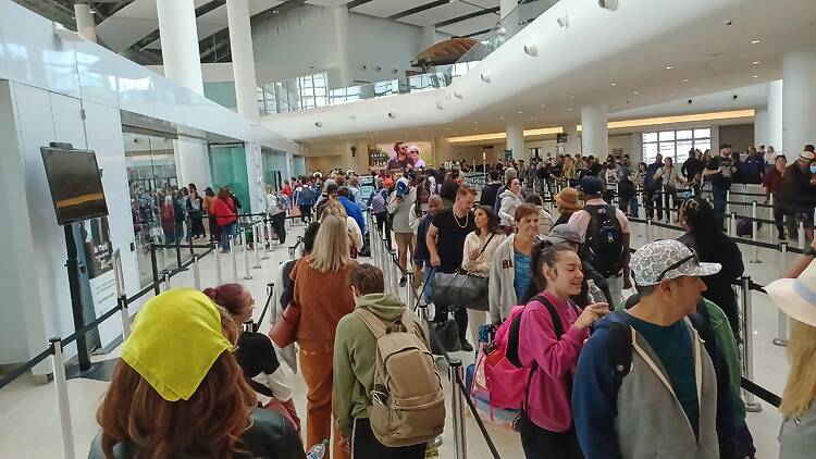 TSA lines