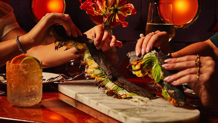 Limusina People ripping up machete quesadillas