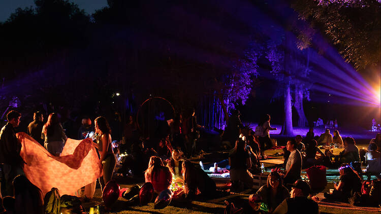 Picnic en chapultepec Picnic en chapultepec