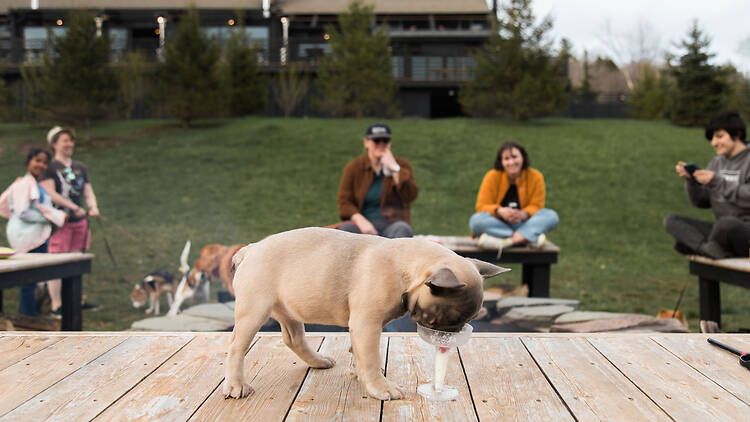 Scribner’s Catskills Lodge (Hunter)