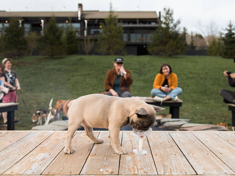 Scribner’s Catskills Lodge (Hunter)
