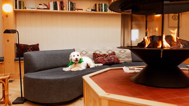 Scribner’s Catskill Lodge