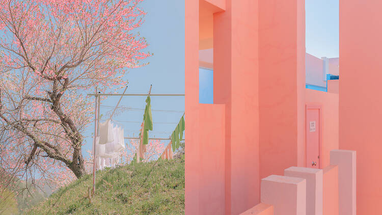 テレサ・フレイタス写真展「Meeting Point」