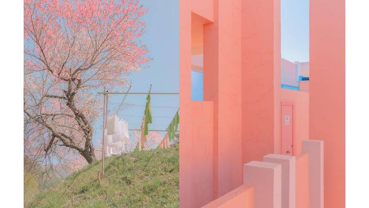 テレサ・フレイタス写真展「Meeting Point」