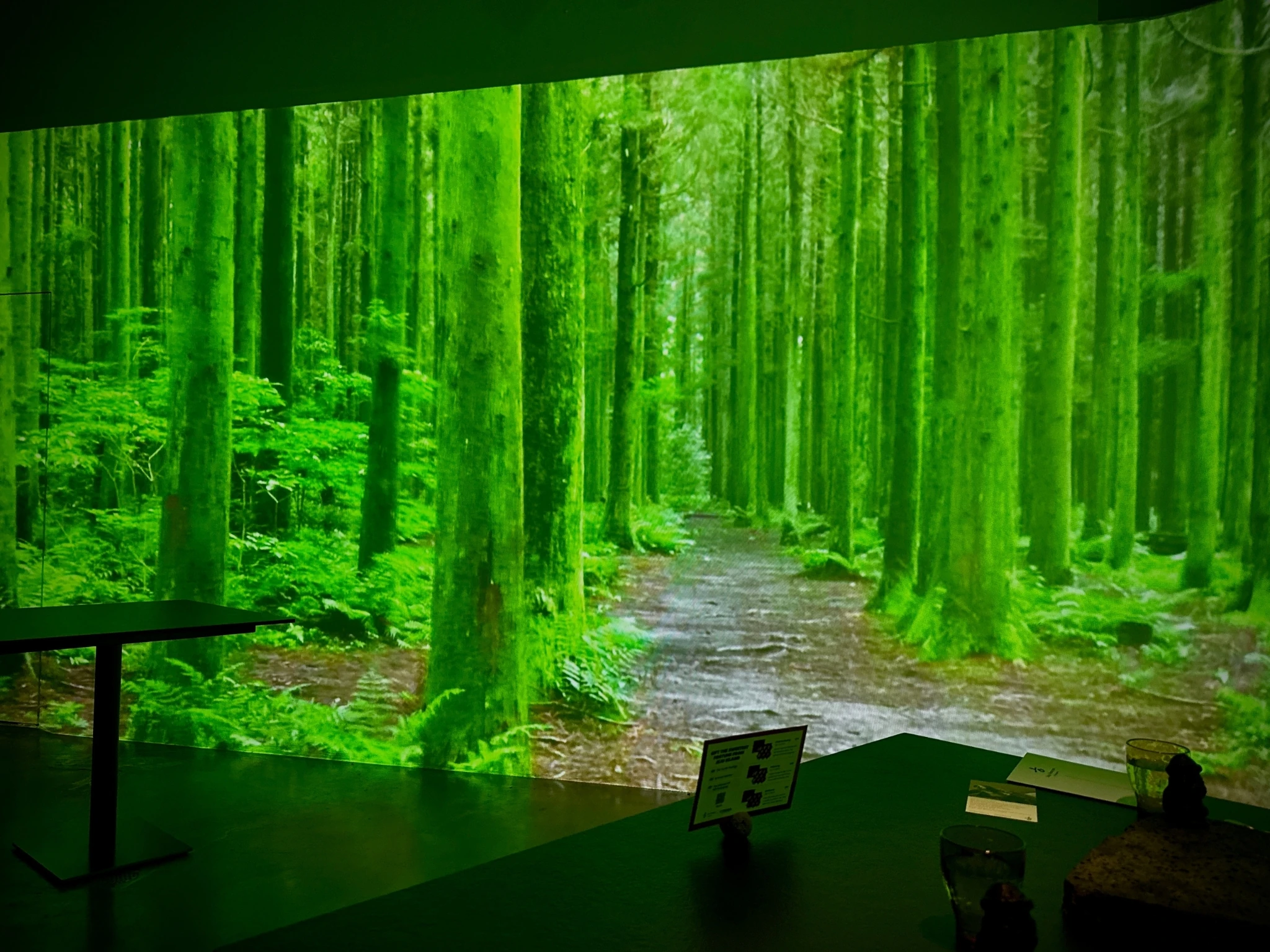 jeju haenyeo experience review