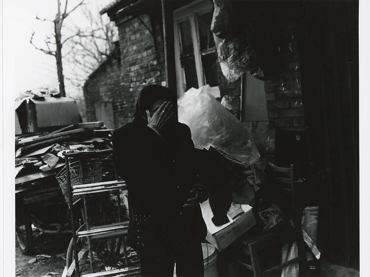 金村修 展 SKELETON GOATS DUST STORMS